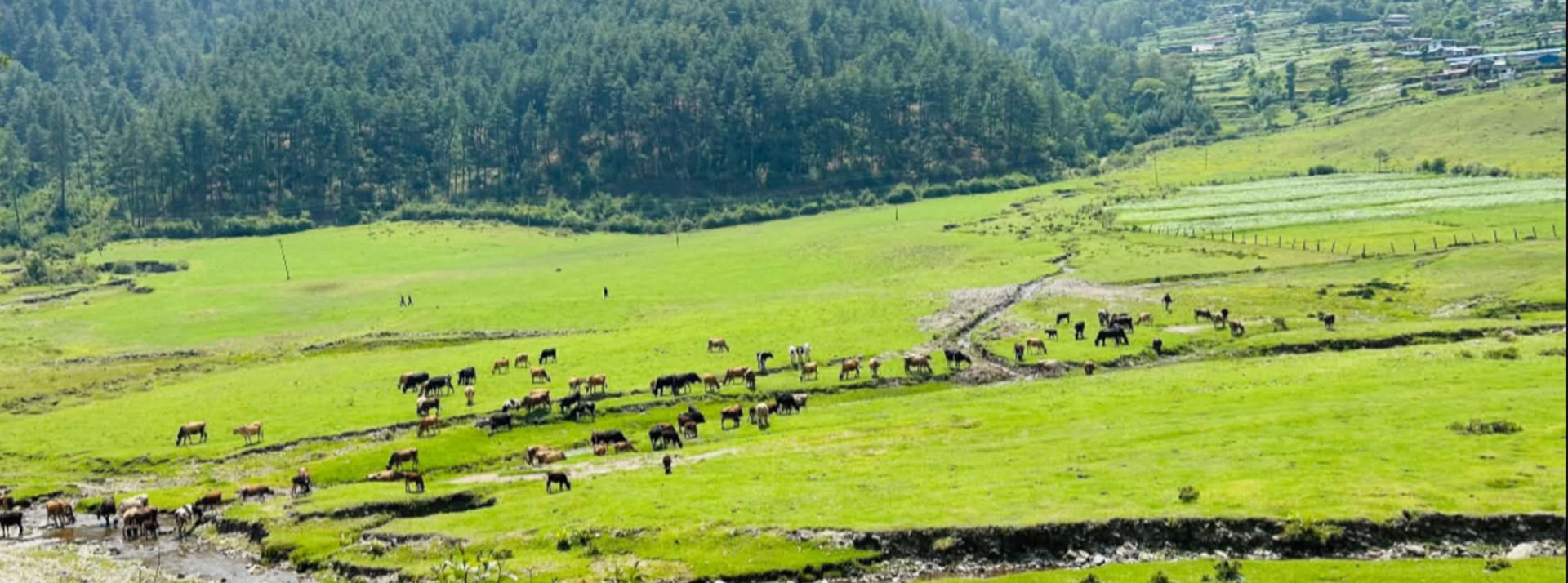 Where Nature and Farming Meet