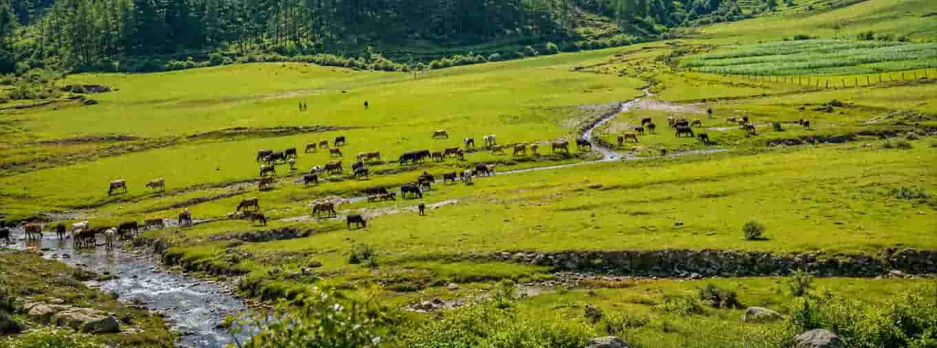 Where Nature and Farming Meet